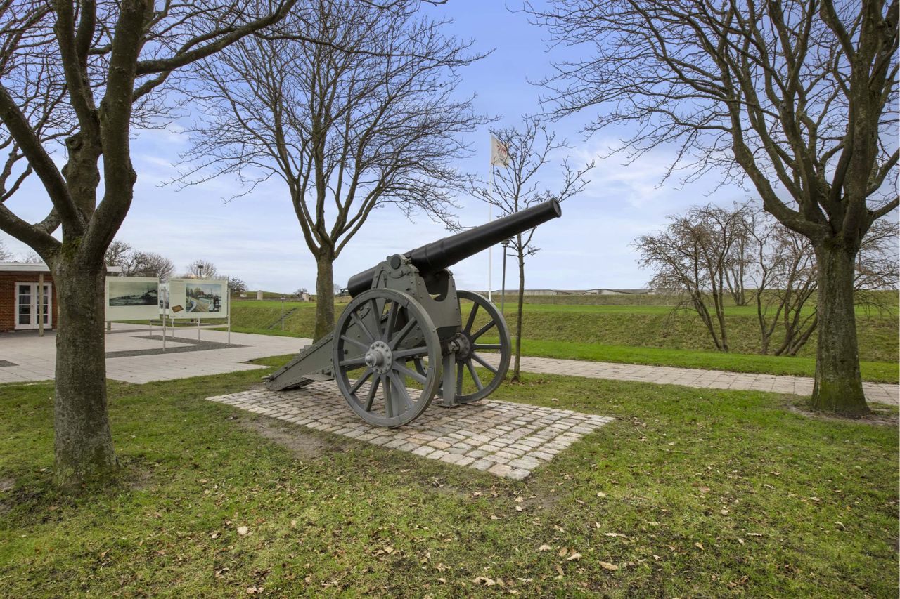 image 03